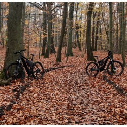 Stage à VTT électrique (1...