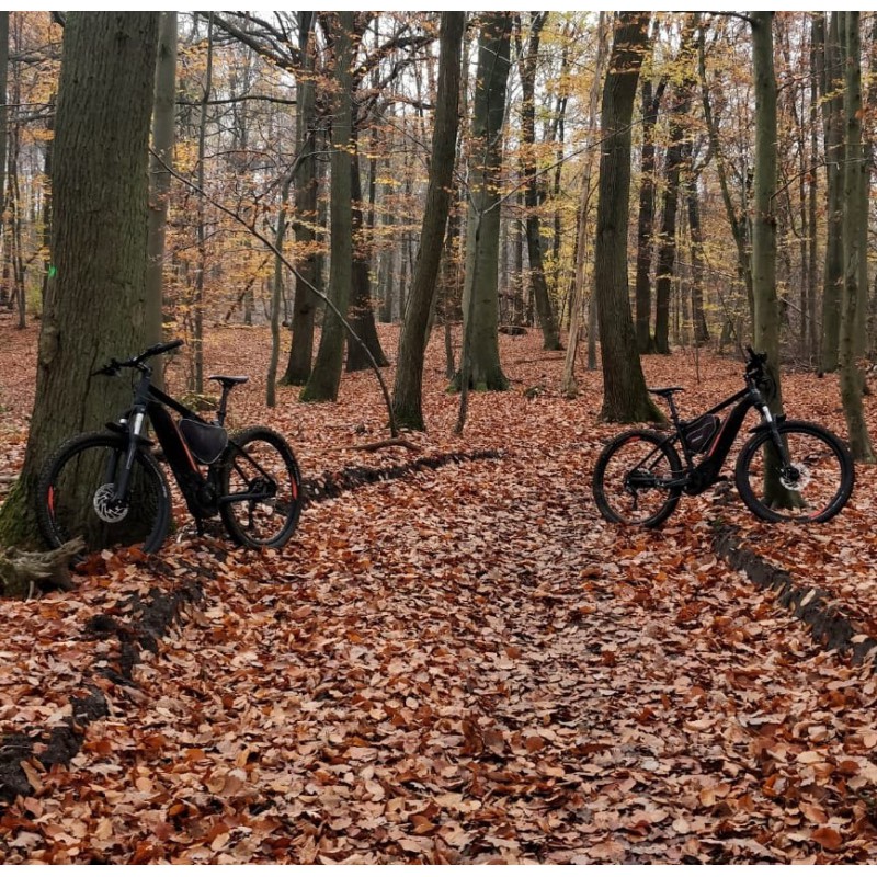 Stage à VTT électrique (1 séance de 3 heures)